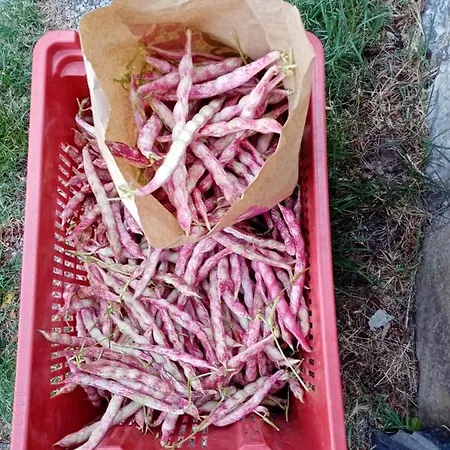 شقة Il Castagno فوسدينوفو